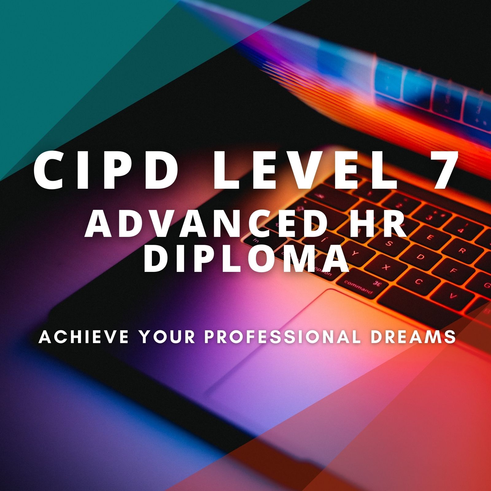 cipd level 7 assignments