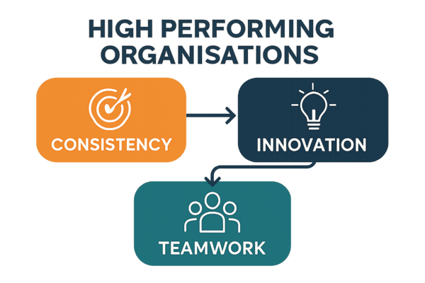 Key Characteristics of High Performing Organisations