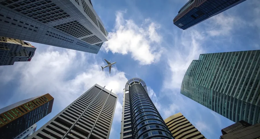 High-Performing-Organisations